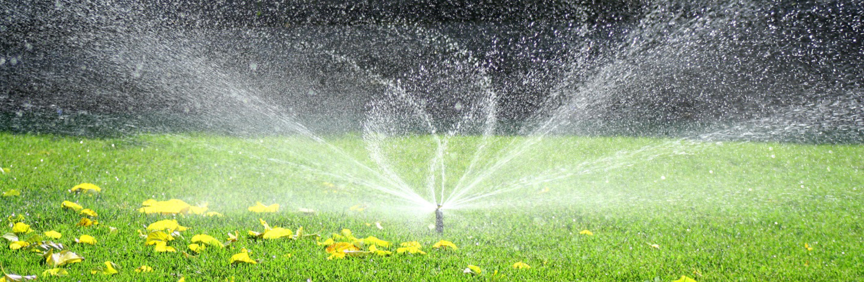 Our mission is to focus on win win strategy with our customers